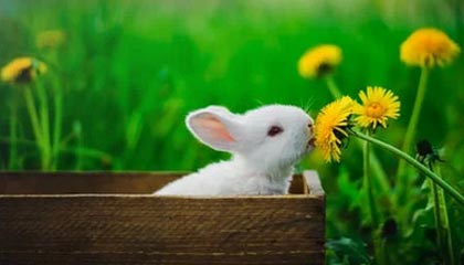 无限在线观看播放视频直播，无限 在线高清