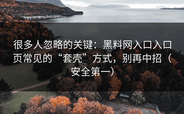 很多人忽略的关键：黑料网入口入口页常见的“套壳”方式，别再中招（安全第一）
