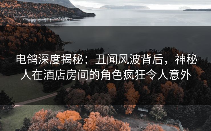 电鸽深度揭秘:丑闻风波背后,神秘人在酒店房间的角色疯狂令人意外 电鸽深度揭秘:丑闻风波背后,神秘人在酒店房间的角色疯狂令人意外