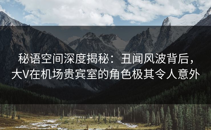 秘语空间深度揭秘：丑闻风波背后，大V在机场贵宾室的角色极其令人意外