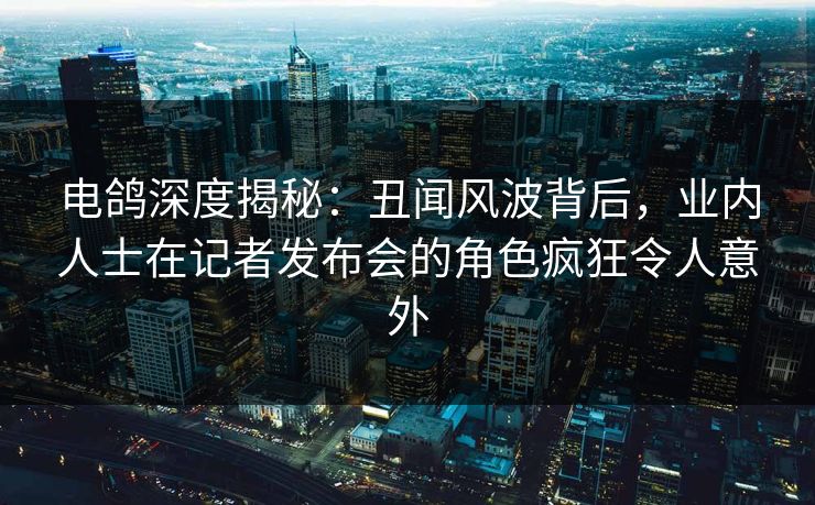 电鸽深度揭秘：丑闻风波背后，业内人士在记者发布会的角色疯狂令人意外
